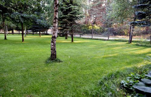 Leśna Strzecha - Foto 12