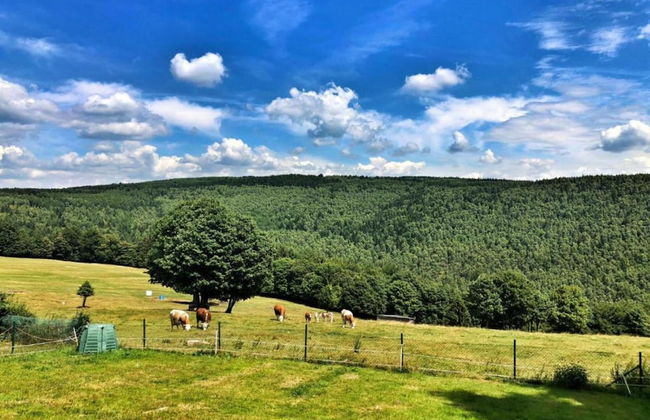 House in Bohemian Near Ski Slope - Foto 31