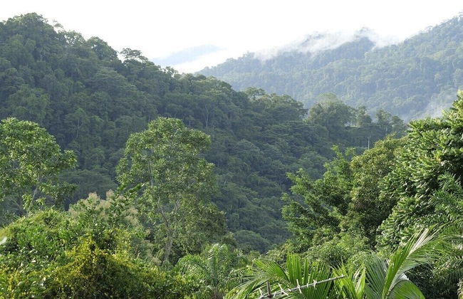 Pura Natura Lodge Arroyo - Foto 48