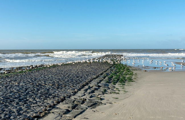 Radiant Bungalow With Patio at Duinland - Foto 68