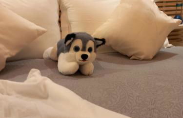 Appartamentino - Castle view, no stairs - Foto 17