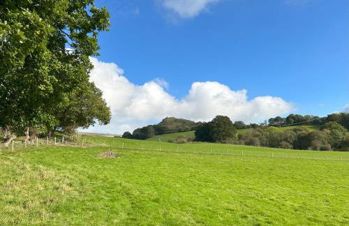 Tower Farm Holidays - Photo 30