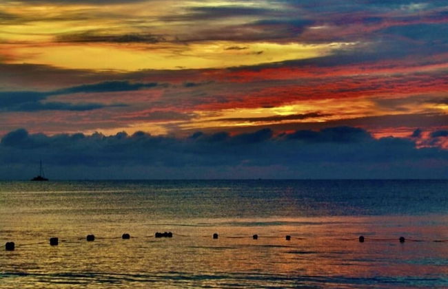 Seacret Studios - Cozy Jamaican Retreat Apts by RedAwning - Photo 25