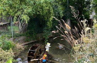 MemmingenBuxheimKartause - Foto 15