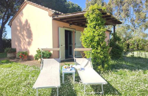 Agriturismo Antico Podere Il Polveraio - Foto 4
