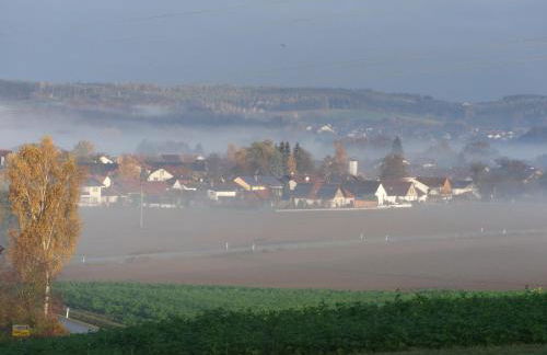 Ferienhof Bimesmeier - Foto 3