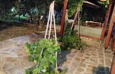 Green Olive Studios - Photo 46