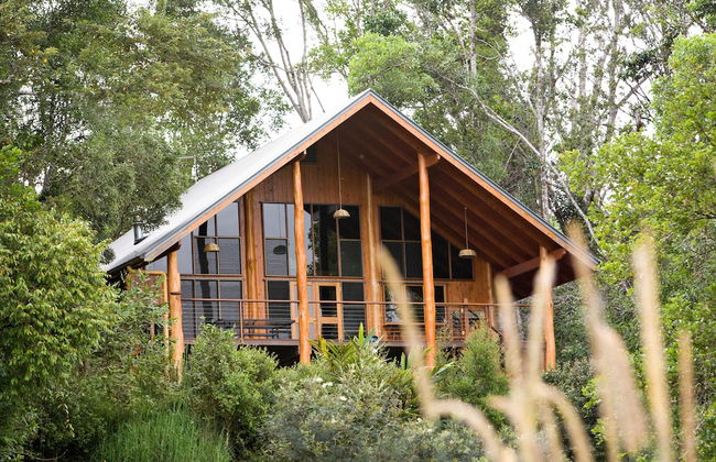 The Canopy Rainforest Treehouses and Wildlife Sanctuary - Foto 23