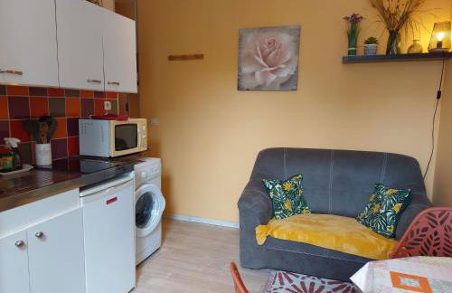 BEL APPARTEMENT CENTRE VEULES LES ROSES 1 CHAMBRE MER 300 M - Foto 6