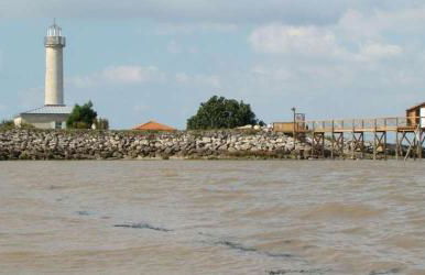 "Les Hirondelles" - Foto 14