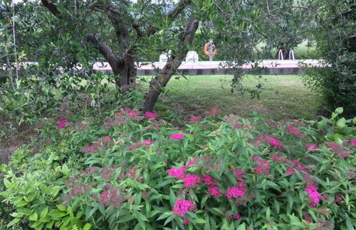 Le Coccole Del Trasimeno - Foto 60