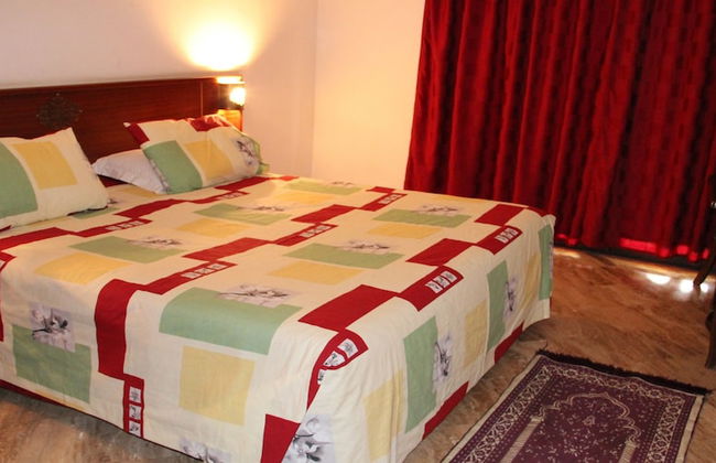 Diamant Vert - Photo 9