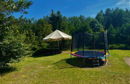 LEŚNA REZYDENCJa - Foto 58