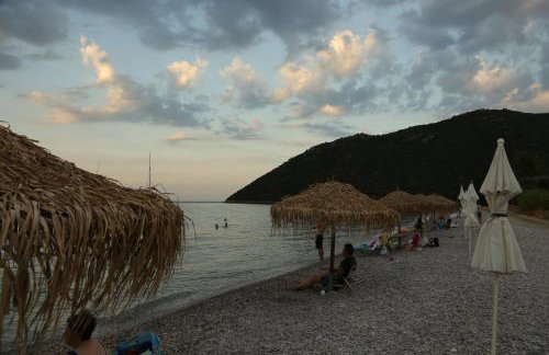 Manto Studios - Photo 73