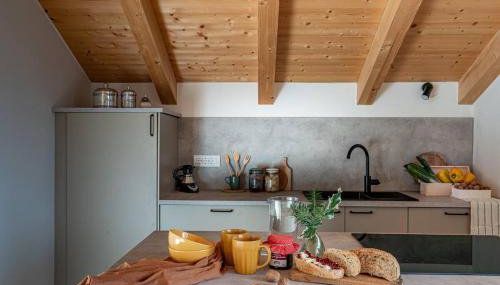 iFlat Pinzolo Penthouse Apartment Volpe - Foto 4, stove