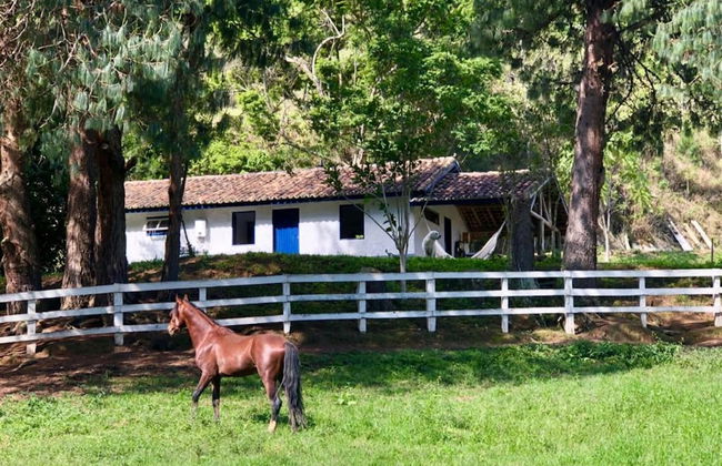 FAZENDA CATUÇABA - Foto 60