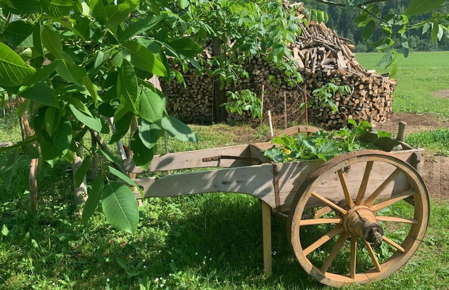 Holiday Home Geser Comfortable Vacation Home - Photo 25