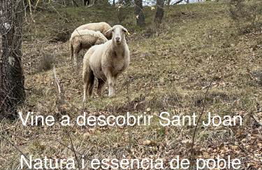 Loft del Taga - Foto 35