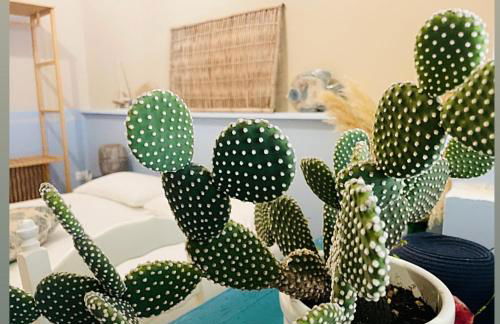 CASA AL MARE RIO b&n - Foto 12