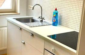 Alte Schmiede Ellrichshausen 1 - Foto 8