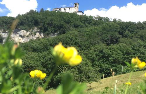 L'Isola dei Sapori - Foto 31