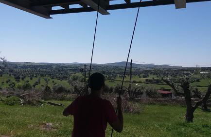 Retiro da cegonha - Foto 35