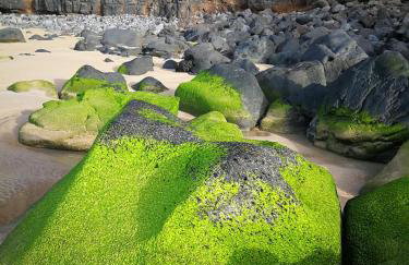 Marine Melody House - Perfect for relaxing getaway - Foto 20