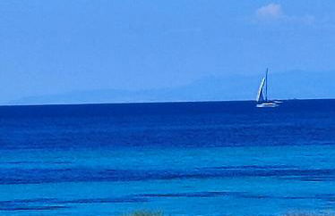 WalMarhouse - Foto 30