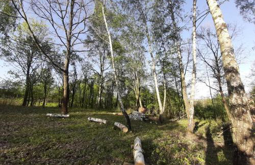 Gosp. Agroturystyczne Stary Gaj - Foto 54