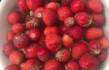 Domek Walentinki - Foto 39