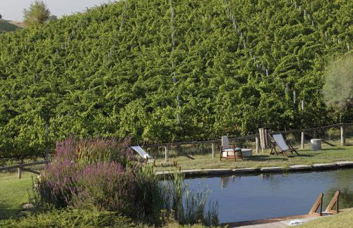 Corte D'Aibo - Photo 22