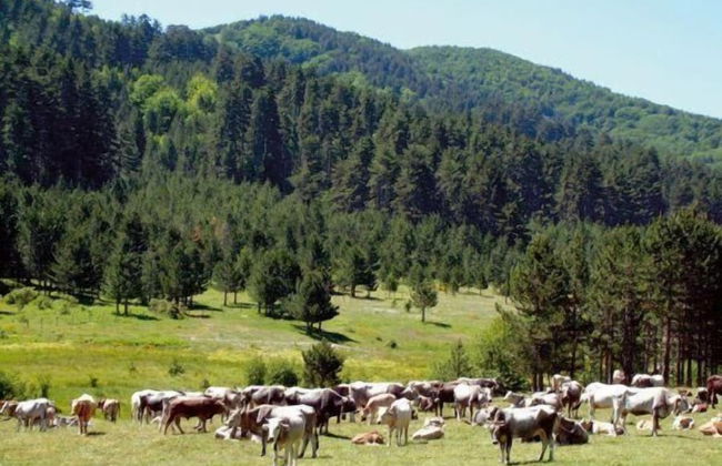 La Casa di Chiaretta - Foto 26