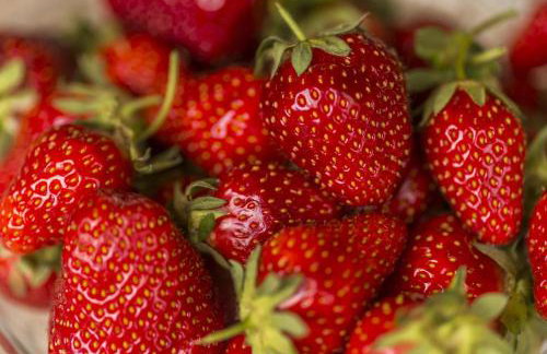 Village Miljavci - Photo 47