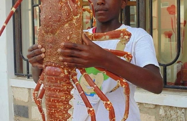 Bungalows Bela Vista Maio Beach - Foto 7