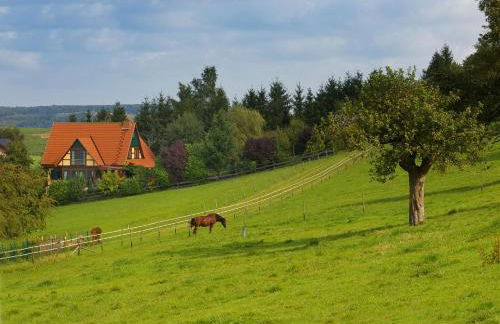 Kölliger Hirtenhaus - Foto 26