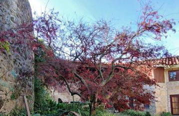 Quinta da Regada - Foto 6