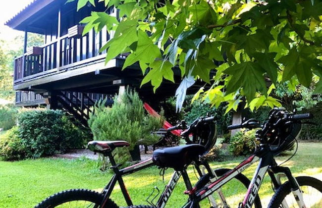 Pool Villa Espigueiro I - Foto 18