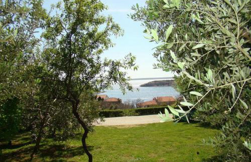 Apartments Davorka Šimuni - Foto 38