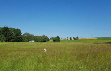 Ferienwohnungen Marienweiher - Foto 33