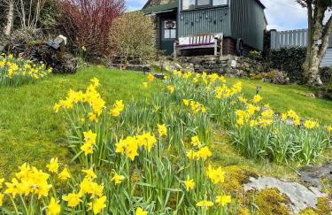 5 Star Shepherds Hut in Betws y Coed with Mountain View - Foto 1
