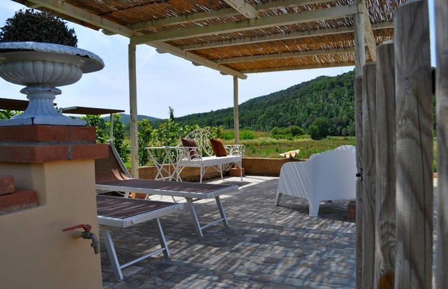 Podere L'Olmaia - Foto 46