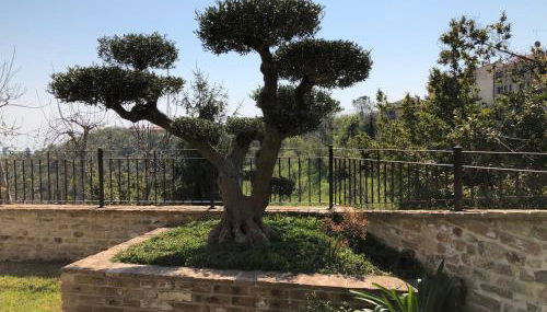 L'Ulivo nel Borgo B&B - Foto 2, Garden