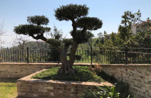 L'Ulivo nel Borgo B&B - Foto 2