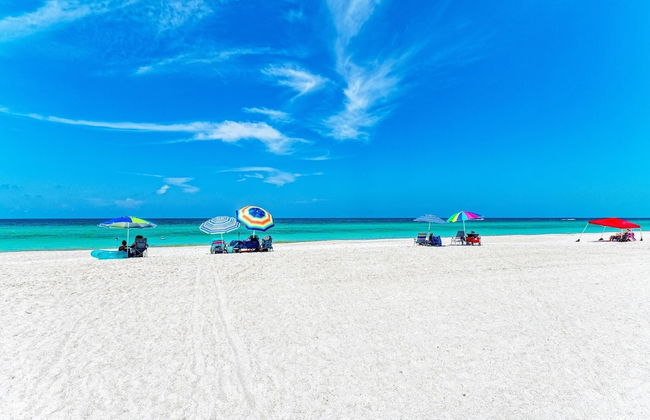 Runaway Tropical Waves-pet Friendly - Foto 7