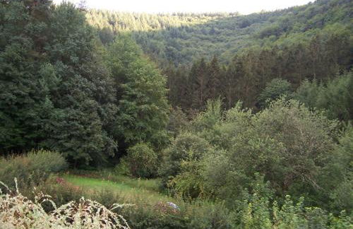 Ferienwohnung am Pfaffenfels - Foto 15