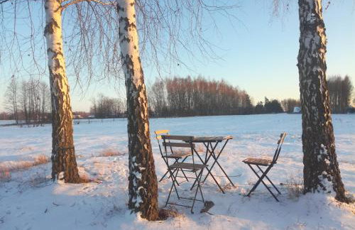 Nowa Wola 58 - 200qm appartment in a small village, with pool, sauna and big garden - Foto 80