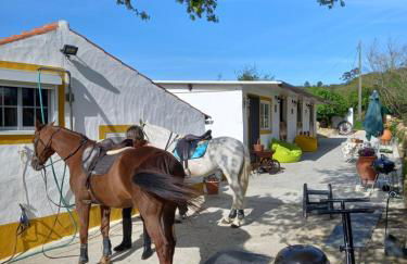 Casinha de campo- Quintinha dos Cavalos- Arruda dos Vinhos - Foto 42