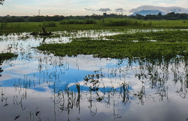 Excursión a Habarana - Foto 8