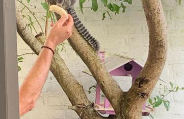 Casa com piscina em frente à Praia do Santinho - Foto 26