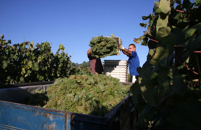 Solar das Bouças - Foto 23